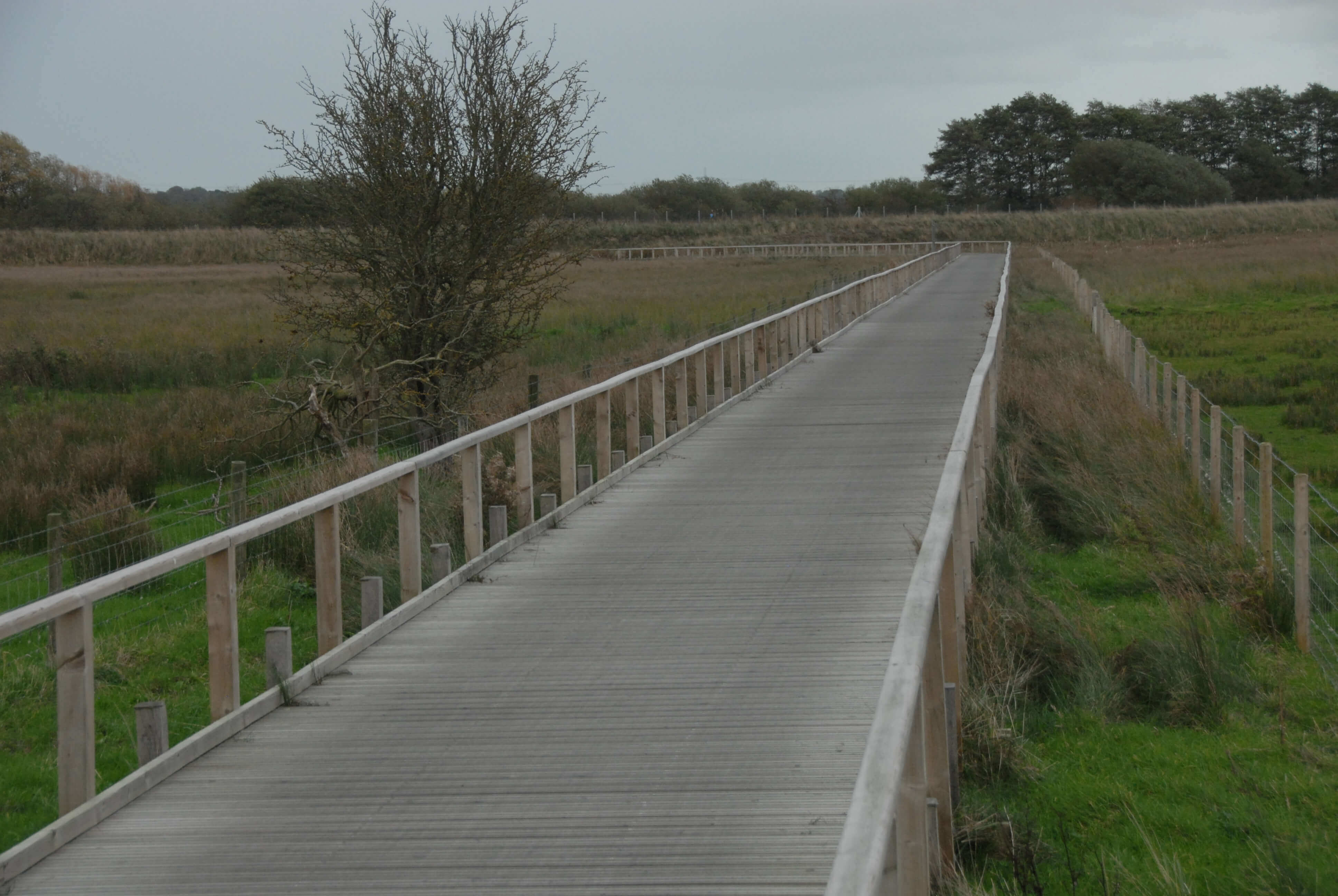 Burton Marsh Case Study Marley